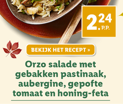 Orzo salade met gebakken pastinaak