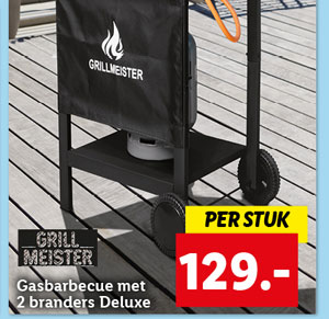 Grillmeister Gasbarbecue met 2 branders Deluxe