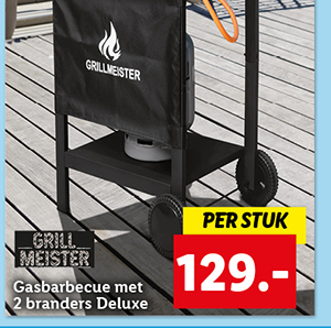 Grillmeister Gasbarbecue met 2 branders Deluxe