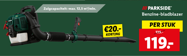 Parkside Benzine bladblazer