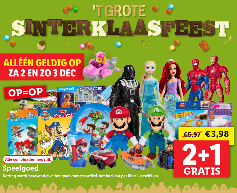 't Grote sinterklaasfeest