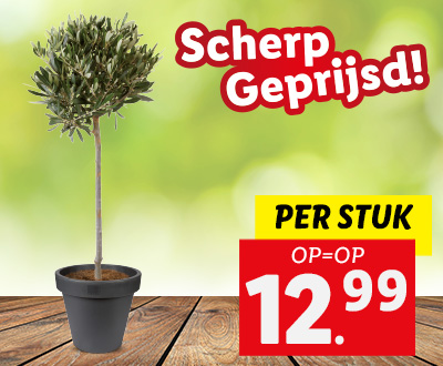 Bloemen- en plantenacties