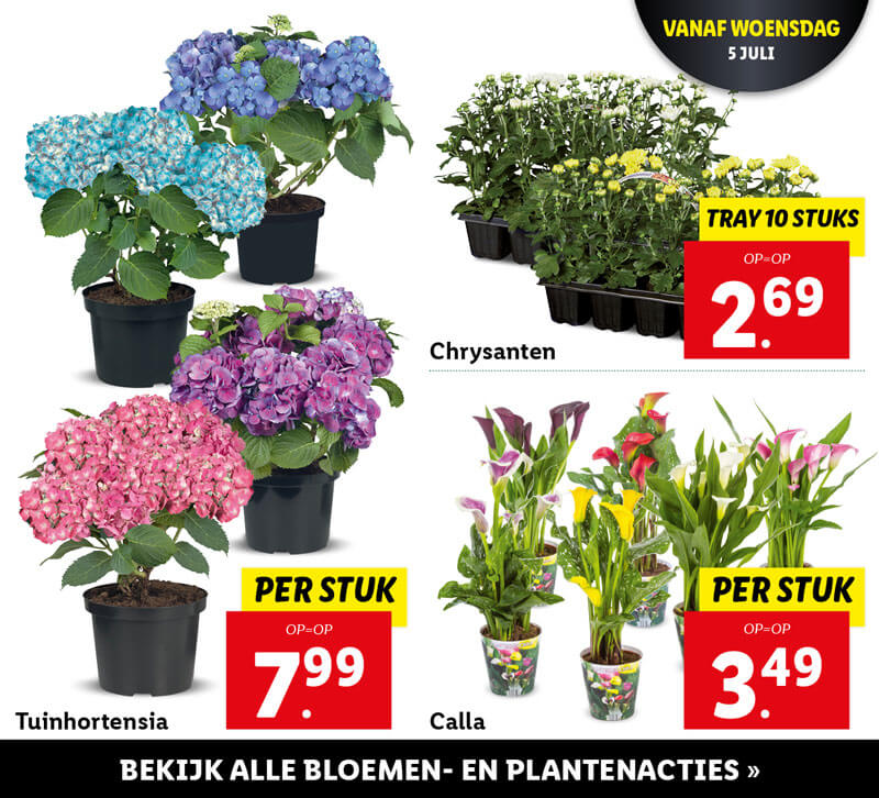 Bloemen- en plantenacties