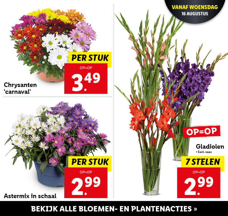 Bloemen- en plantenacties