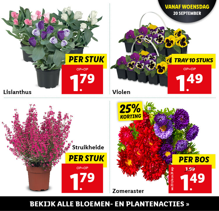 Bloemen en planten