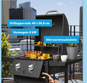 Grillmeister Gasbarbecue met 2 branders Deluxe