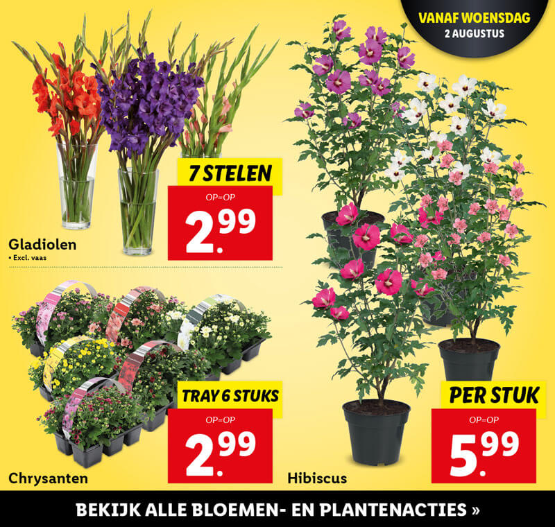 Bloemen- en plantenacties