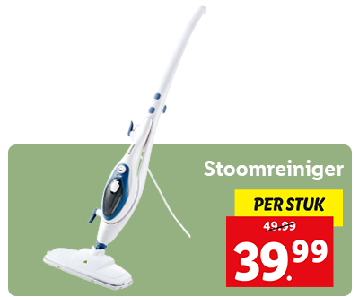 Stoomreiniger: 39.99 per stuk
