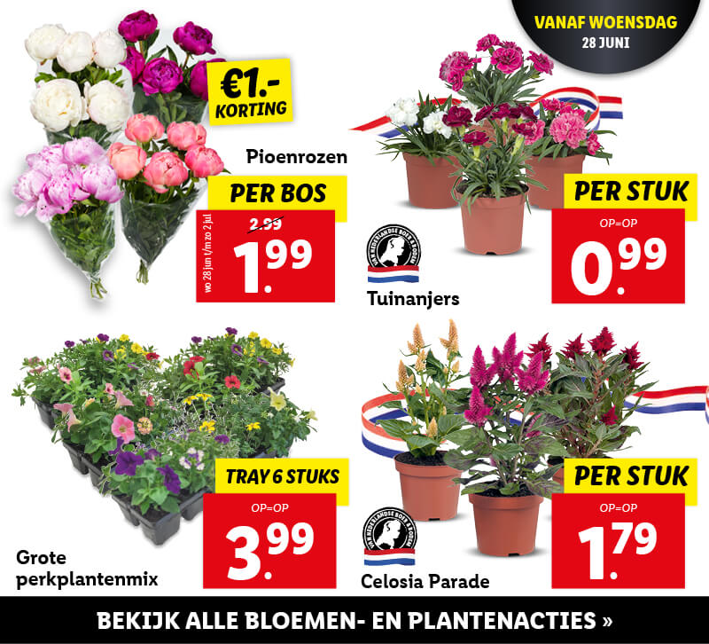 Bloemen & Planten