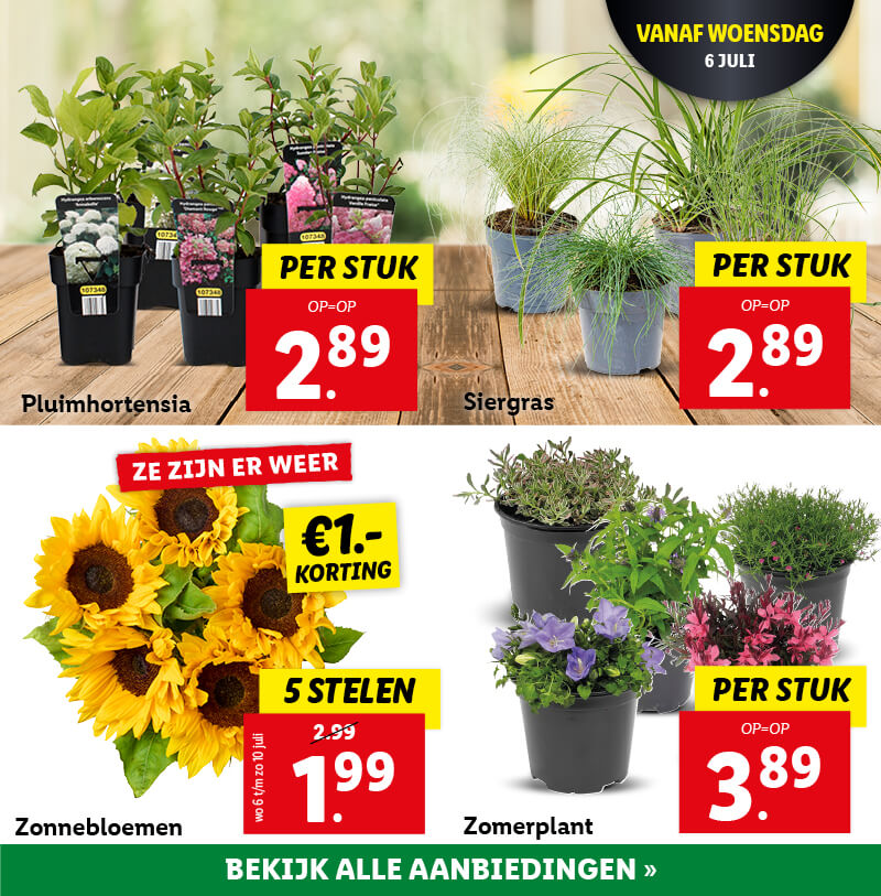 Bloem & planten