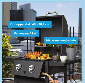 Grillmeister Gasbarbecue met 2 branders Deluxe