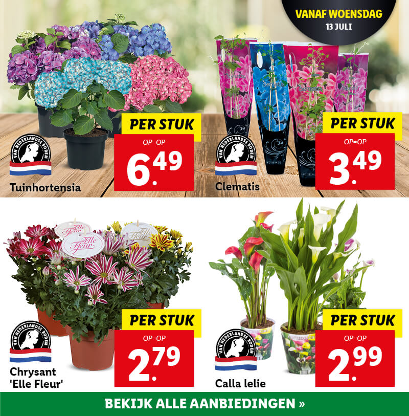 Bloemen & planten