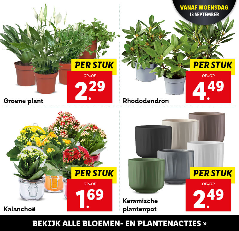 Bloemen & planten