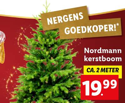 Nordmann kerstboom, nergens goedkoper!*