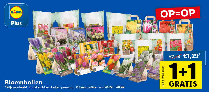 Lidl Plus