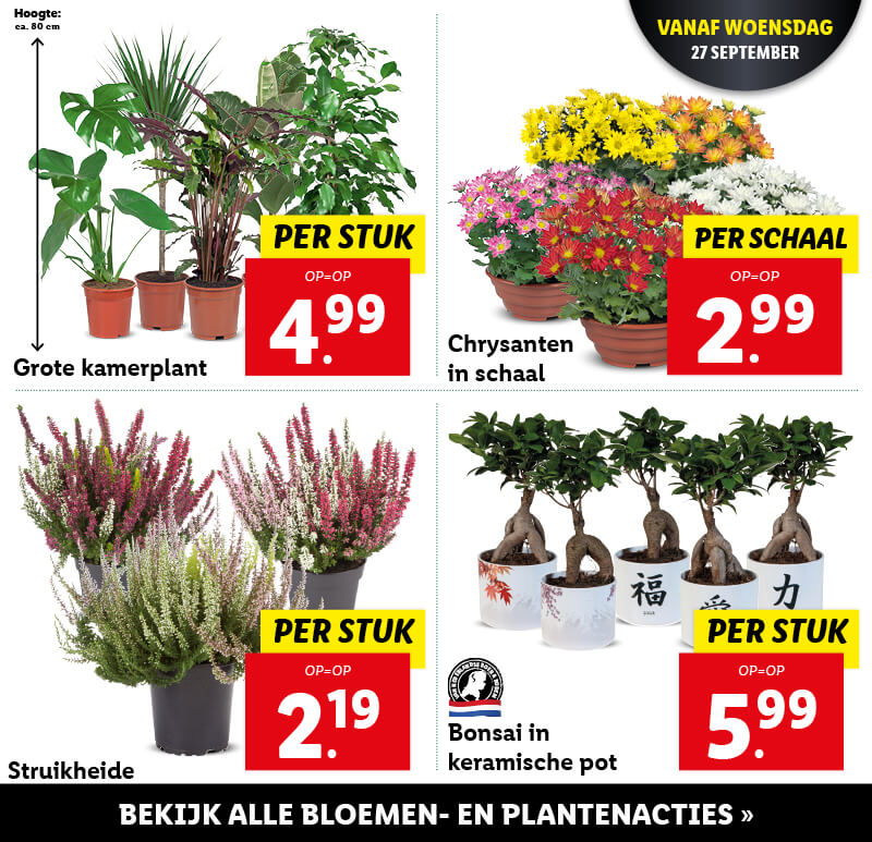 Bloemen & planten
