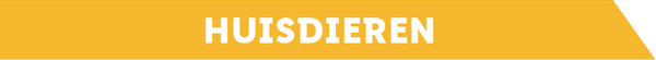 Alle handige spullen voor je huisdier