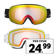 Ski- en snowboardbril
