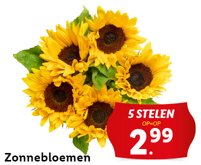 Zonnebloemen voor tijdens de zonnige dagen