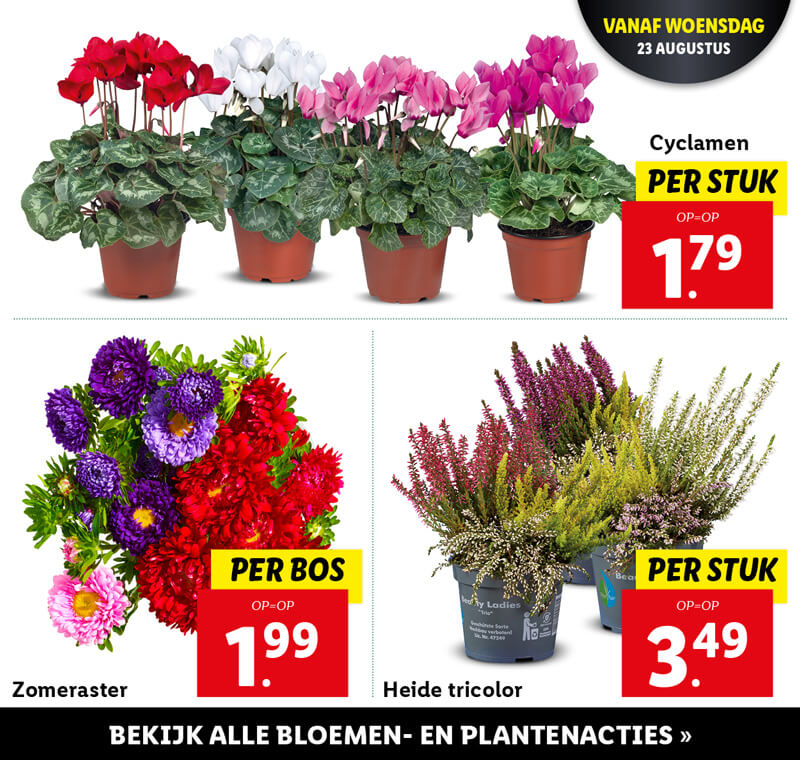 Bloemen- en plantenacties