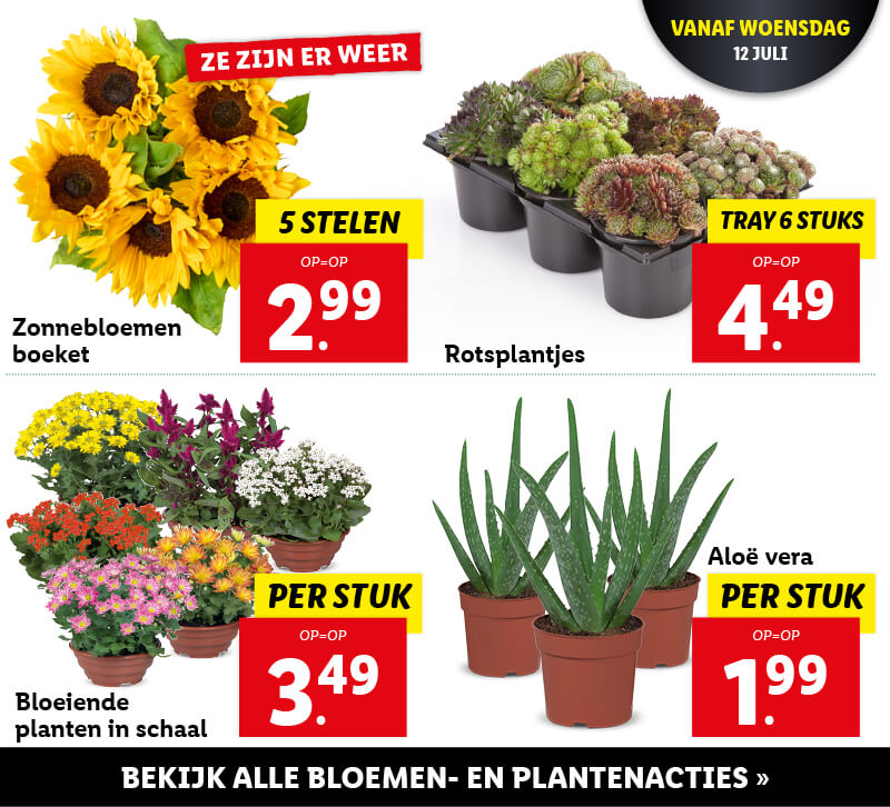 Bloemen- en plantenacties