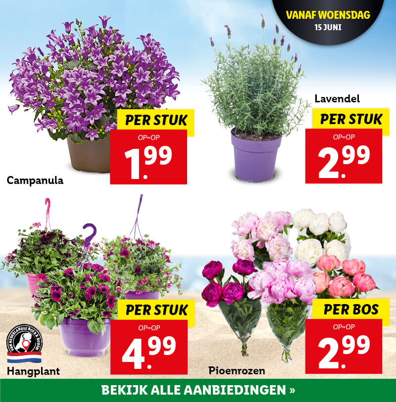 Bloem & planten