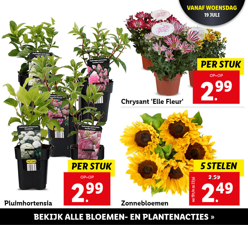 Bloemen- en plantenacties