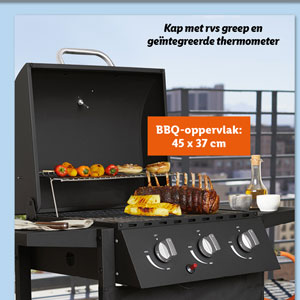 GRILLMEISTER Gasbarbecue met 3 branders Deluxe