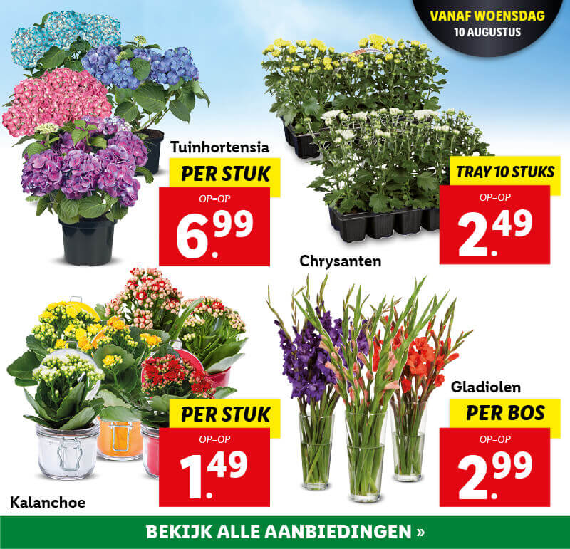 Bloemen & planten