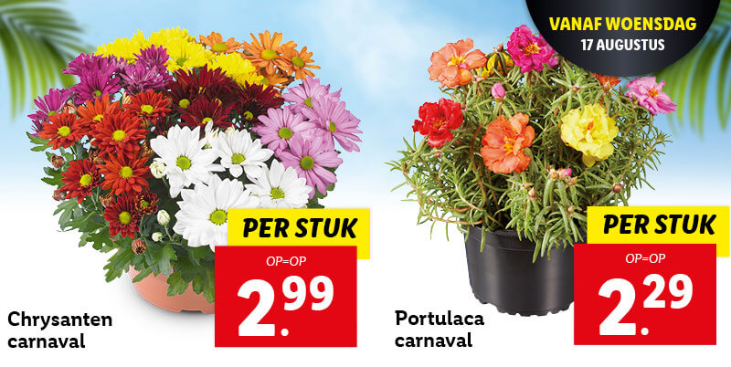 Bloemen & planten