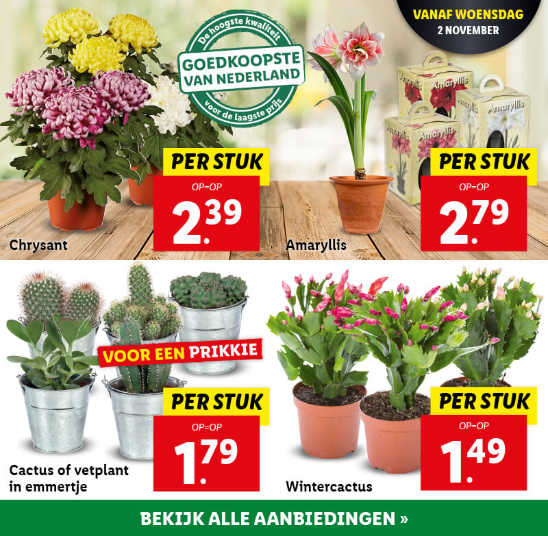 Bloemen en planten