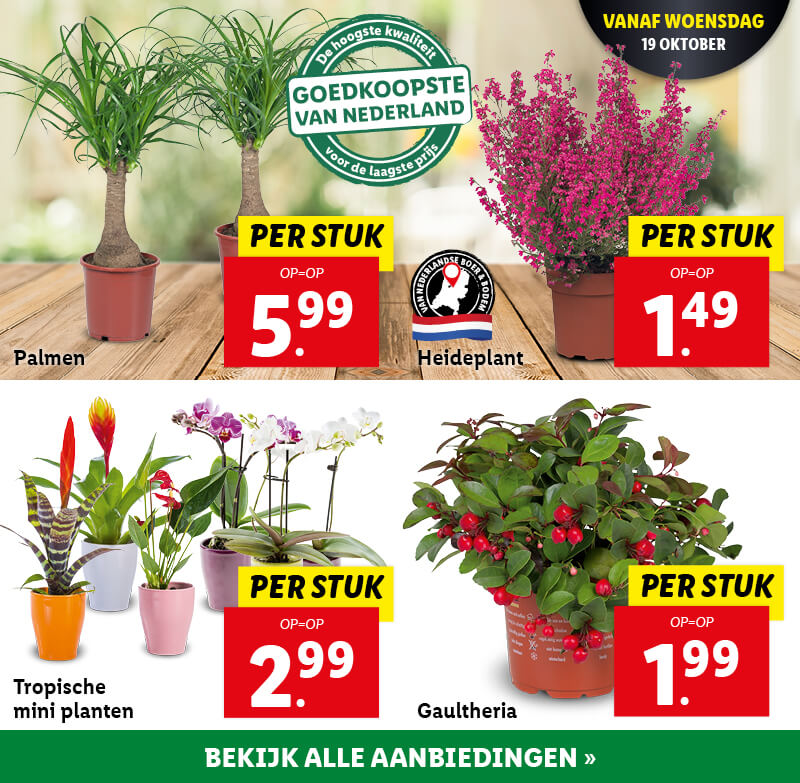Bloemen & planten