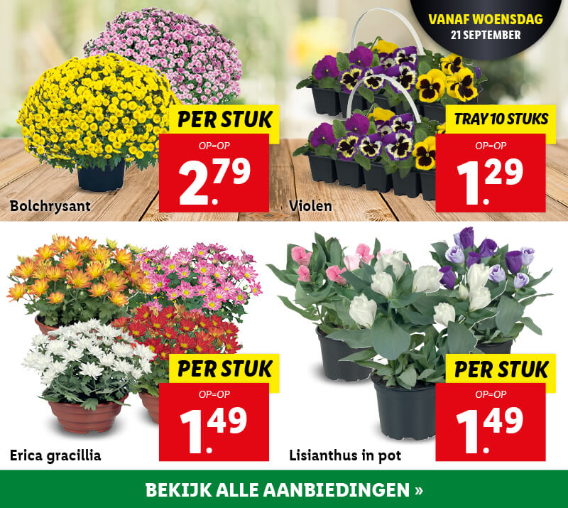 Keuken