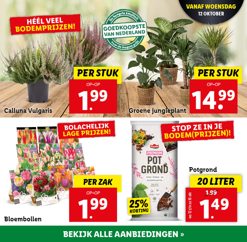 Bloemen & planten
