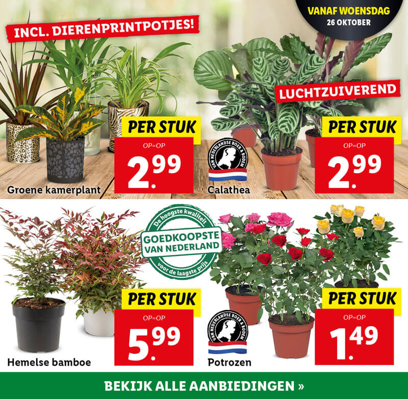 Bloemen & planten