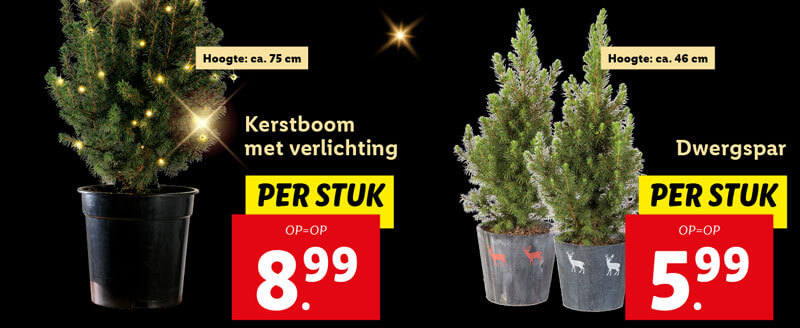 Kerstbomenmarkt