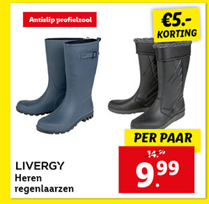 LIVERGY Heren regenlaarzen