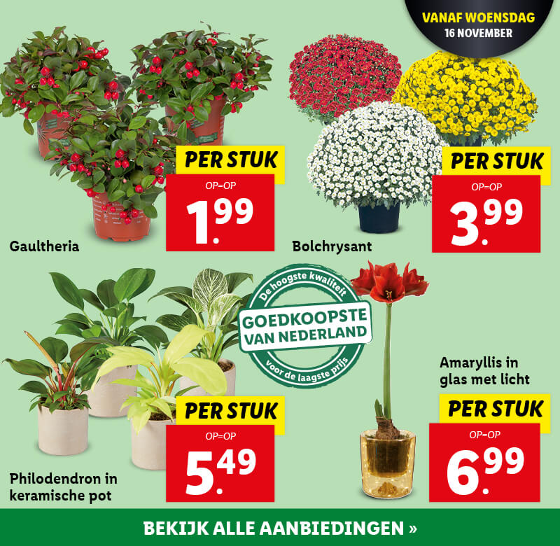 Aanbiedingen van deze week