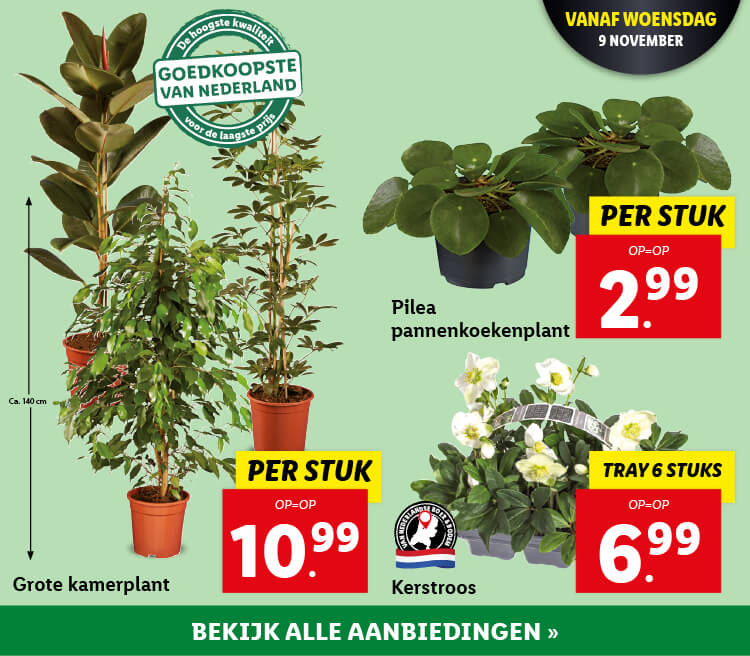 Bloemen en planten