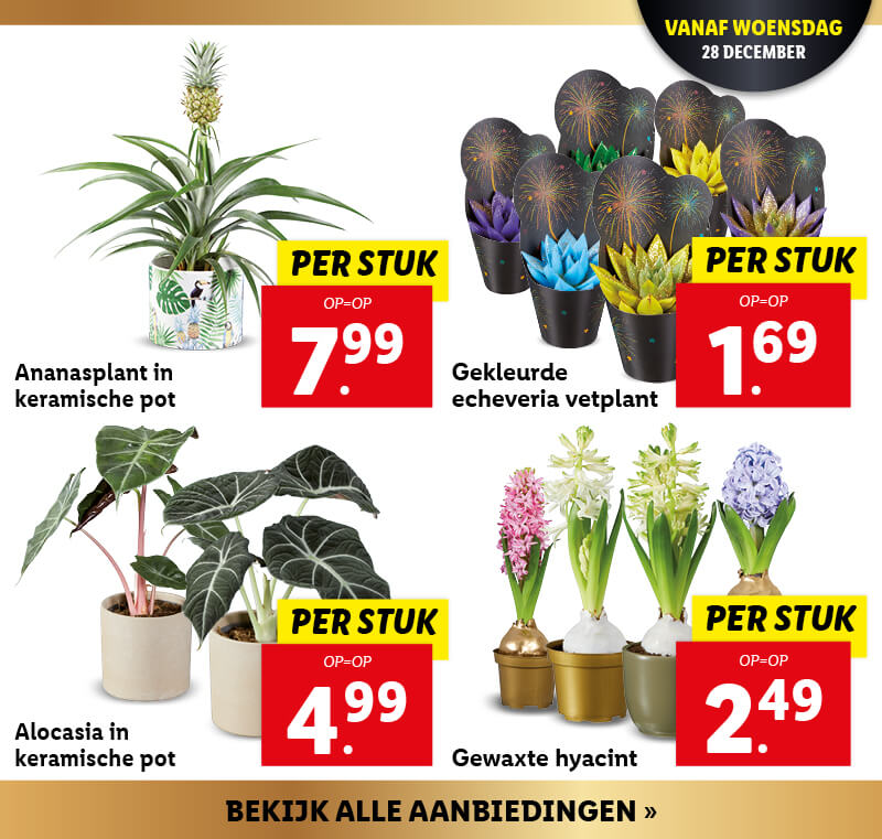 Aanbiedingen van deze week