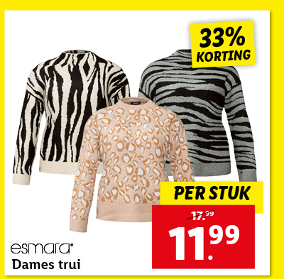 Dames trui