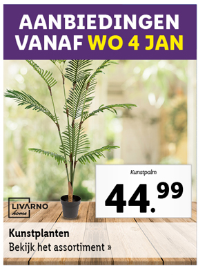 Bekijk alle kunstplanten vanaf woensdag 4 januari