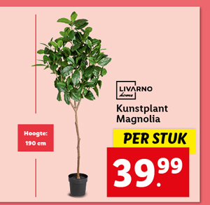 Livarno Home Kunstplant Magnolia 