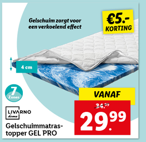 Livarno Home Gelschuimmatrastopper GEL PRO