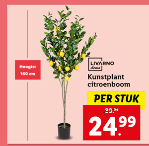 Livarno Home Kunstplant citroenboom