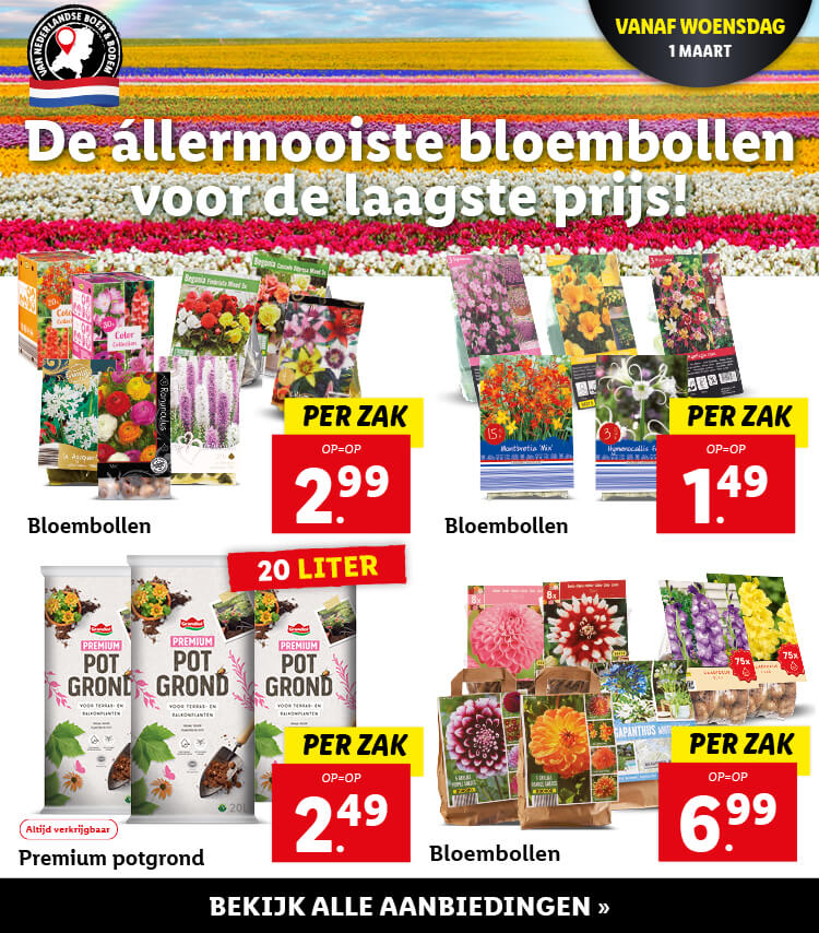Bloembollen