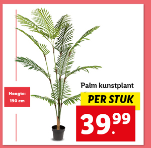 Livarno Home Kunstplant palm