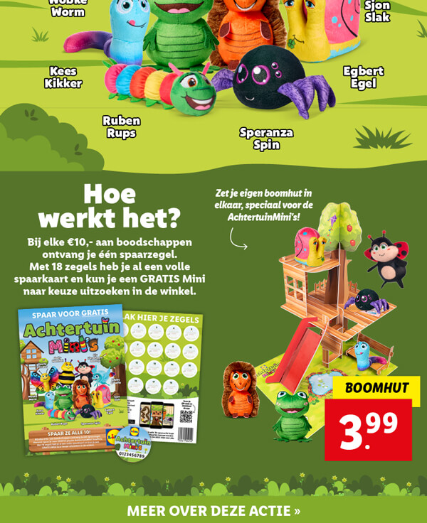 Achtertuinminis