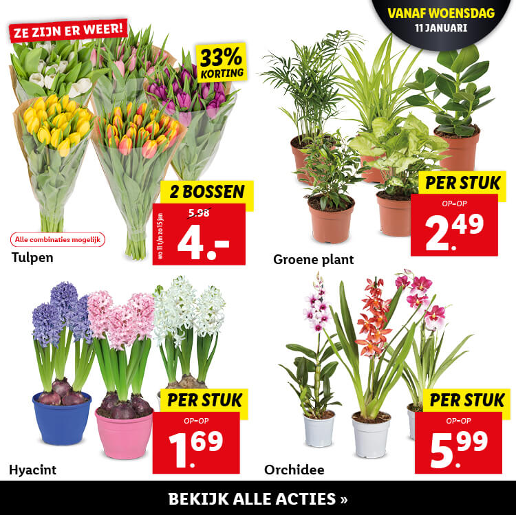 Bloemen en planten