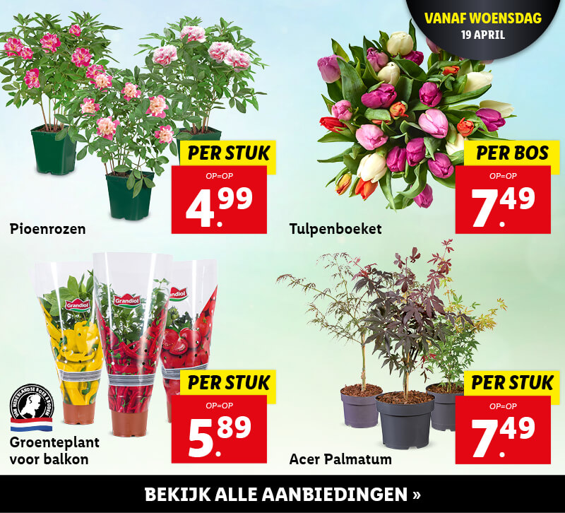 Versaanbiedingen
